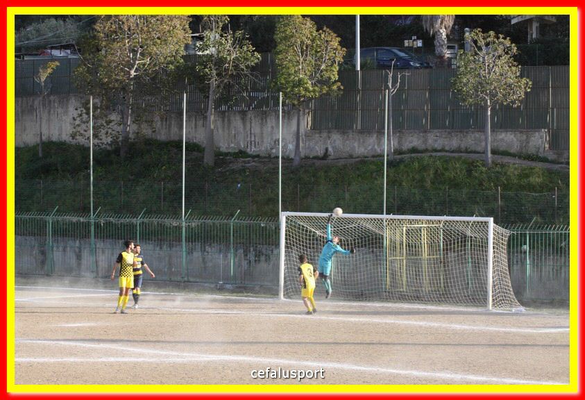 200301 Cepha_Mazara 134.jpg